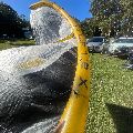 2026 Ozone Vortex V1 - 10 metre - 5