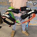 2026  Foilsport  Comp Waist Leash - 180 cm - 0