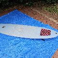 2024 Element Midlength Rounded Pin - 7' 10