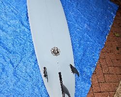 Element Midlength Rounded Pin 7' 10" surfing longboards (7' and over)