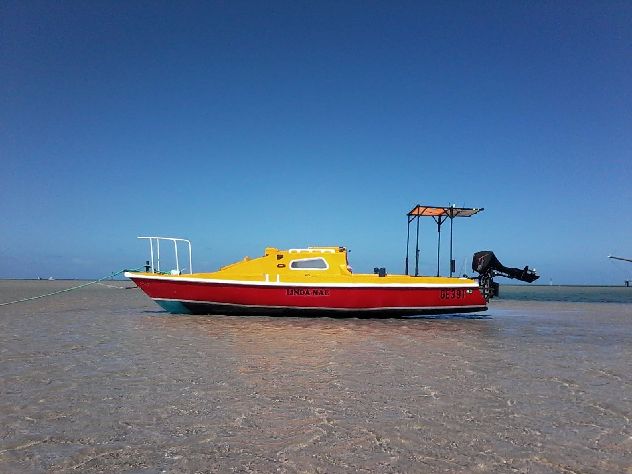 2007 Custom Built Trailer Sailer - 24' 0"