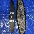 2025 Axis Wings Spitfire Bsc Stabs Fuse Mast - 6
