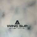 2022 Armstrong Wing Sup 50L - 4' 8