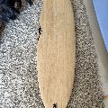 2021 $899 Ono - Aloha 7’0 X 50.62L Surfboard Fun Mid By Tomo Cole - 7' 0"