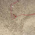 2024 Duotone Dice - 11 metre - 6