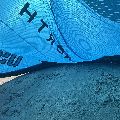 2025 North Carve - 9 metre - 2