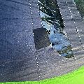 PPC Surge Mk 2 - 3.8 metre - 5