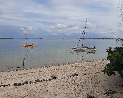 Weta 4.4 Trimararn Weta 4.4 4.4 metre boating sail boat