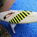 Hog Custom With Free Accessories Square Tail Thruster - 6' 2