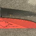 2019 Severne Arc - 6