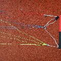 2025 Naish Morph Parawing - 5 metre - 3