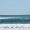 Hog Custom Thruster Square Tail 6 Feet 6 Inches - 6' 6