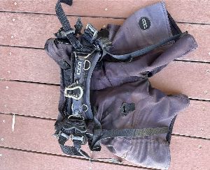 2022 Ion Harness Shorts