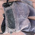 2022 Ion Harness Shorts - 1