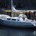 Farvel