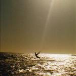 Kite kook