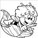 mmarcielo