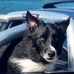 shineywhenwet