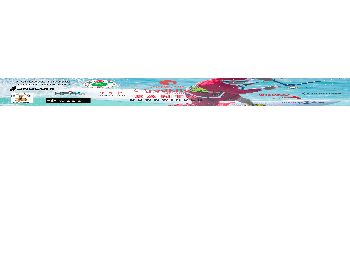 Get ready for the WA Santa downwinder - Kitesurfing News