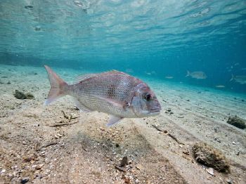 El Nino Winter: What It Means on the Water - Weather Articles