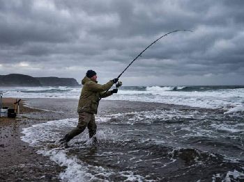Winter Tailor: Beach and Rock Tactics