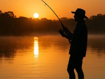 Sunrise and Sunset: Time Your Sessions