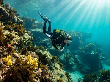 Dry Winter: Clearer Water Through August