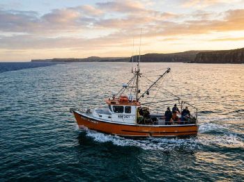 July Offshore: Warm Seas, Weekend Window